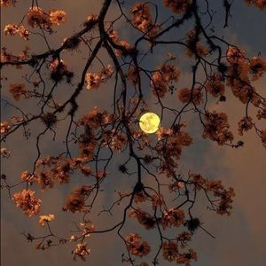 Meet your Posher, Ada